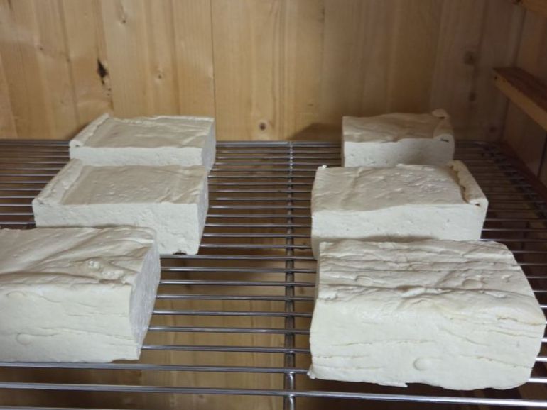 truite saumonée valaisanne